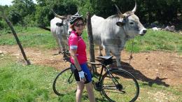 Cycling the Enchanting Parenzana: Exploring Picturesque Towns & Nature's Beauty (14)