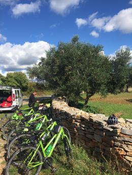 Cycling the Enchanting Parenzana: Exploring Picturesque Towns & Nature's Beauty (6)