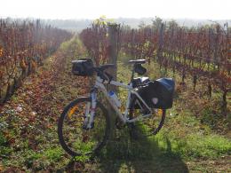 Cycling the Enchanting Parenzana: Exploring Picturesque Towns & Nature's Beauty (1)