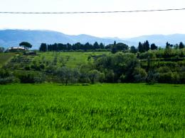 Self guided walking Medieval Umbria - From Assisi to Spoleto (1)