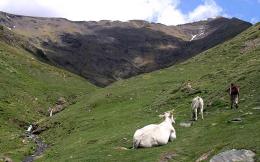 Explore Spanish Pyrenees: Self-Guided Hike (2)