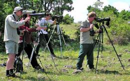 The Southern Birding Hotspots in Bulgaria
 (1)