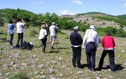 The Southern Birding Hotspots in Bulgaria
 (5)