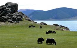 Discover Mongolia: Nomadic Wonders and Endless Horizons (4)