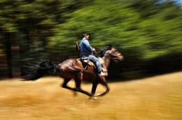 Air, Water, Land - Adventures in West Bulgaria (8)