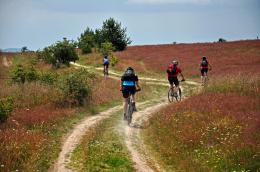 Rila Family Adventure. Biking, Kayaking, Horse riding and much more! (19)