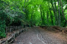 Explore Spanish Pyrenees: Self-Guided Hike (24)