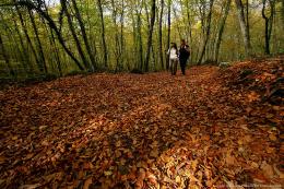 Explore Spanish Pyrenees: Self-Guided Hike (6)