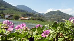 Alpine Splendor: Trekking from Meran to Lake Garda's Beauty (1)