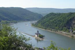 Rhine Walking: Castles, Vineyards & UNESCO Wonders Await (14)