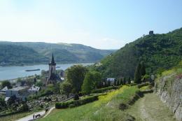Rhine Walking: Castles, Vineyards & UNESCO Wonders Await (11)