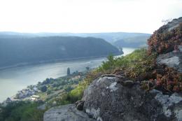Rhine Walking: Castles, Vineyards & UNESCO Wonders Await (8)