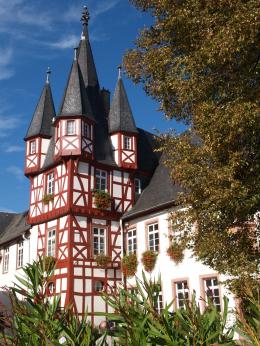 Rhine Walking: Castles, Vineyards & UNESCO Wonders Await (1)