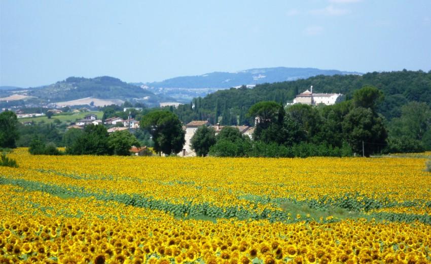 Vandring i Umbrien Italien